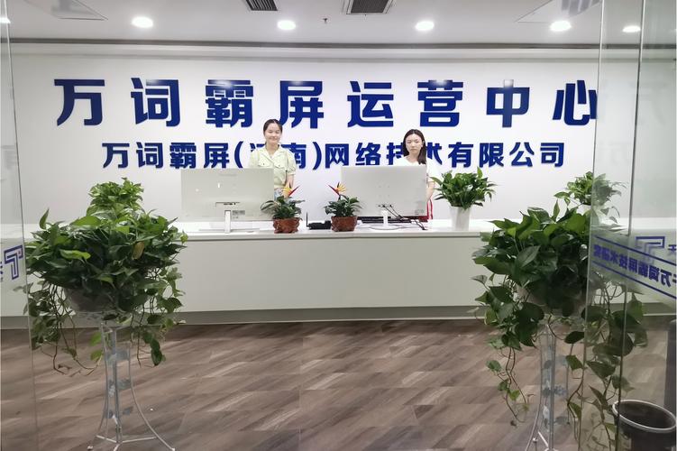 SEO快速排名的万词霸屏与快排策略，真的能长期稳定保持效果吗？