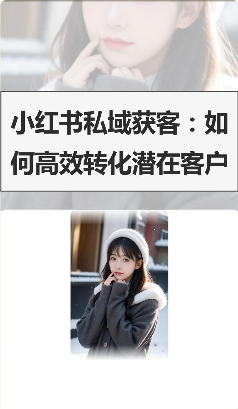 如何通过2025SEO实现月导流10万私域精准获客？