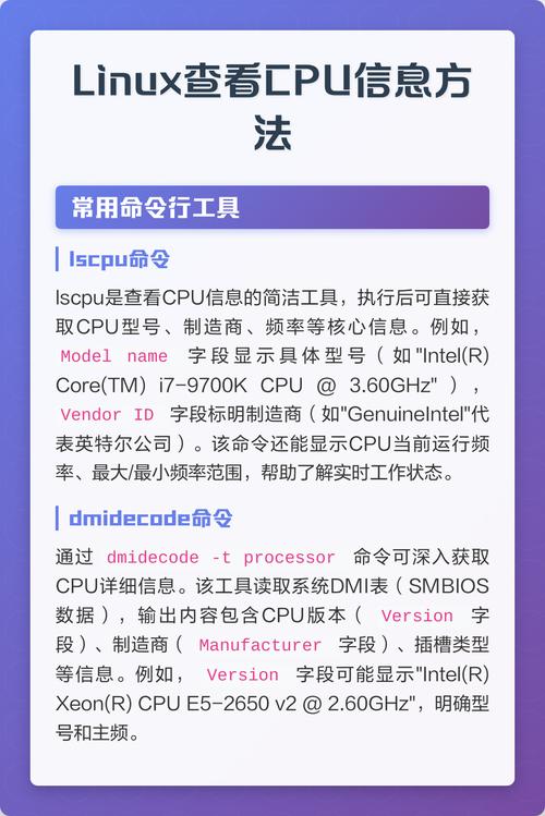 如何快速查看Linux系统CPU主频并据此调整设置以显著提升系统性能？