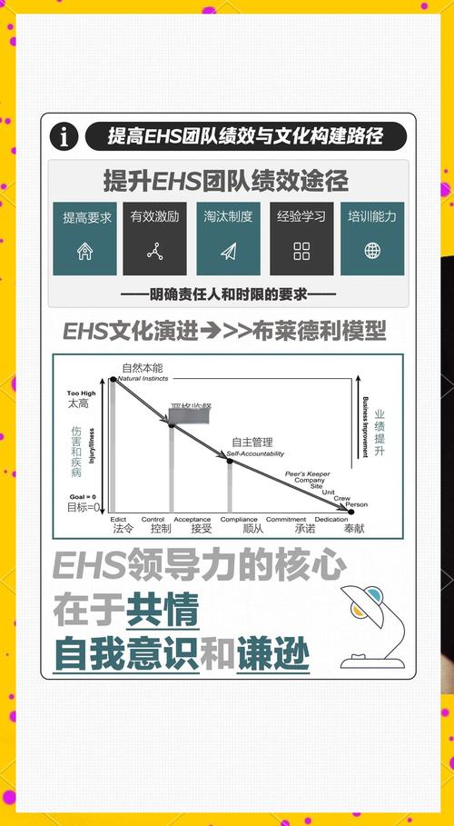 如何正确使用技巧解析与安全警示插件并避免潜在风险？