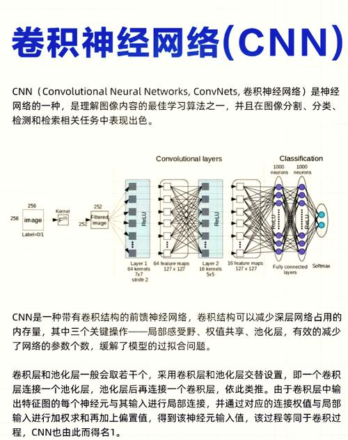 如何实现SqueezeNet、ShuffleNet、MobileNet等轻量化CNN架构的深度学习教程？