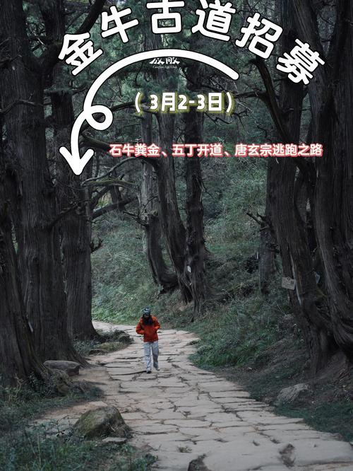 这棵树上的路径，你能带我去哪儿？