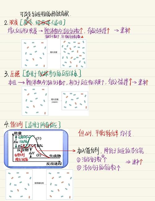 如何解析影响反应速率的因素并优化调控路径？
