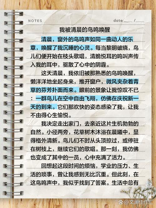 如何运用文字魅力，唤醒我的创作灵感呢？