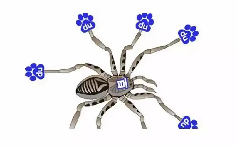 为什么百度蜘蛛抓取量突然减少？原因有哪些？