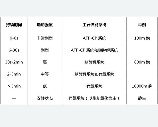 不同项目采用何种能量供应方式的具体差异有哪些？