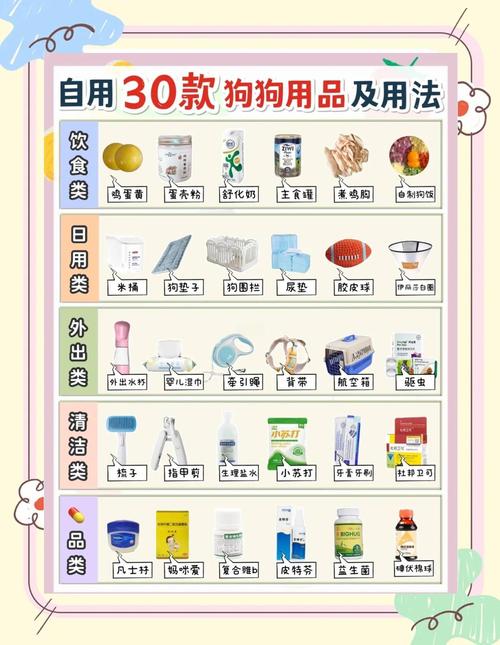 如何清晰规划独立站宠物用品的分类指南？