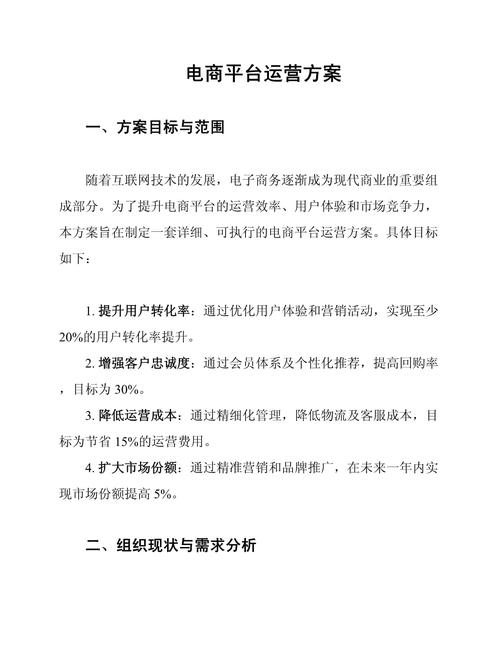 如何制定并实施专业的网站建设与运营策略探讨指南？