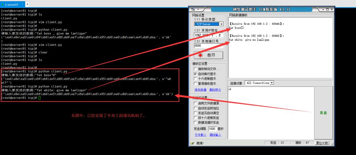 如何使用Python编写TCP客户端实现向胖子老板发送再来一包烟请求？