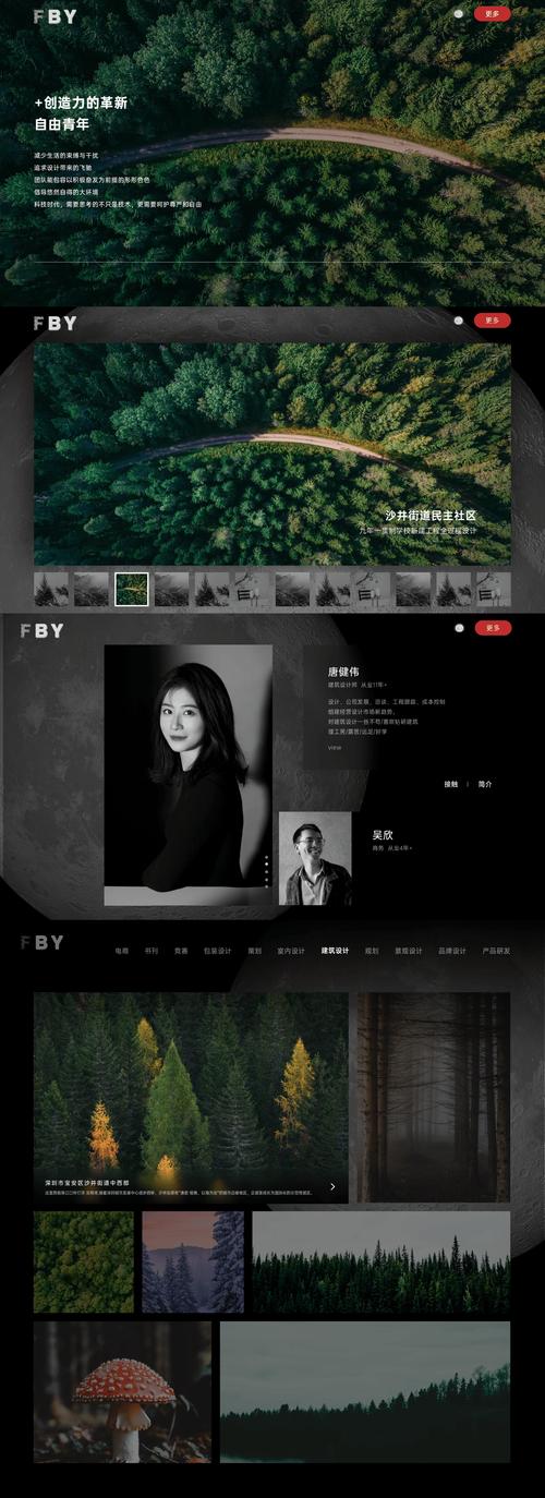 松江有哪些网站开发设计公司排名靠前，行业佼佼者和优秀设计团队名单揭晓？