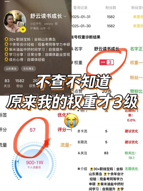 如何快速查询某个网站的百度权重，有没有什么神器推荐？