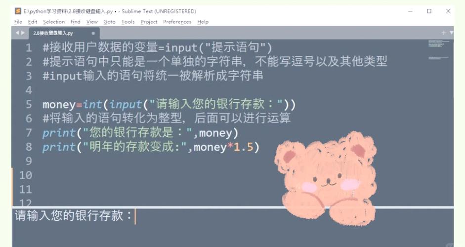 如何通过Python的input函数有效接收用户输入？