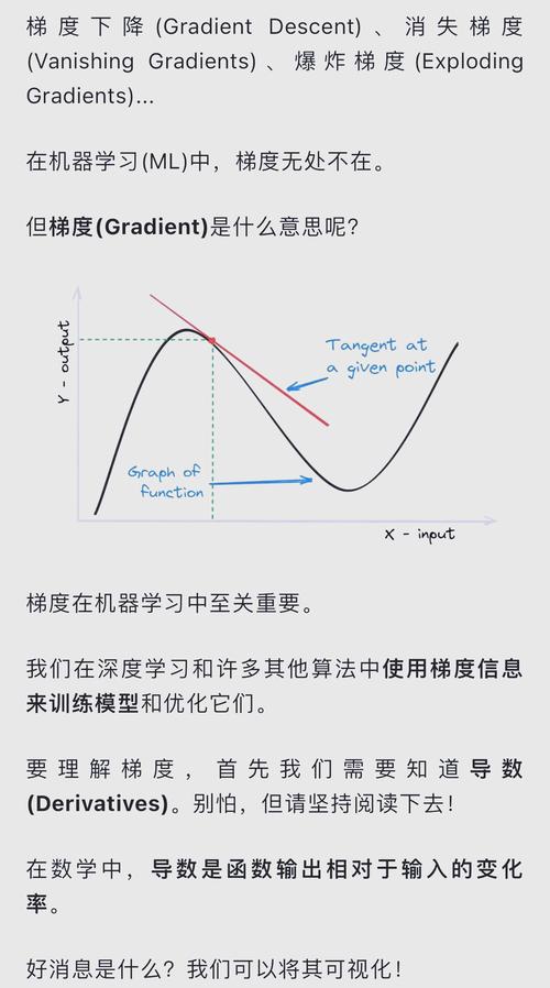 Ptorch中如何实现梯度裁剪、累积及冻结预训练层等常用梯度操作？