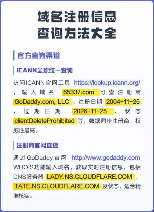 如何通过正规渠道查询某个域名的具体所有者信息？