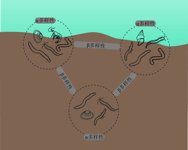 PHP闭包与Clourse类方法究竟有何神奇之处？