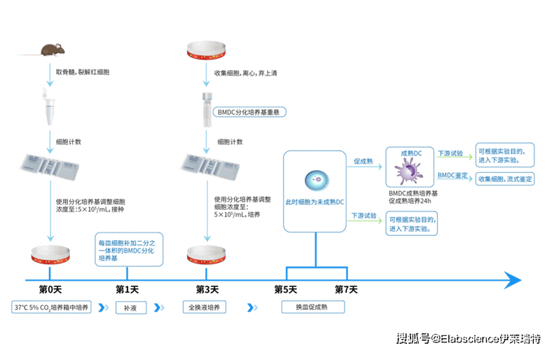 RT1502移植LUA成功的关键步骤有哪些？