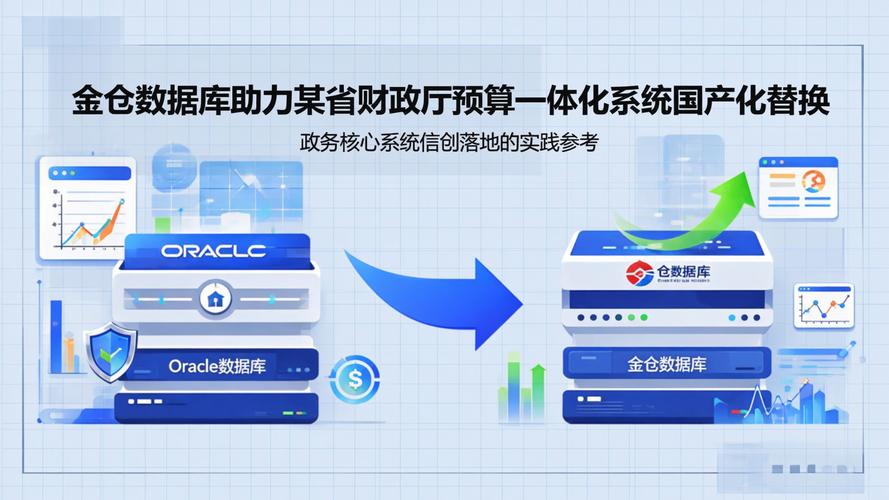 财政一体化数据库具体是哪种类型？