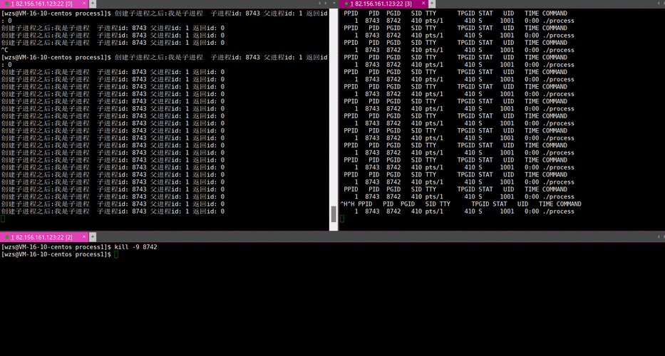 PHP中如何灵活运用可变函数功能实现动态调用？
