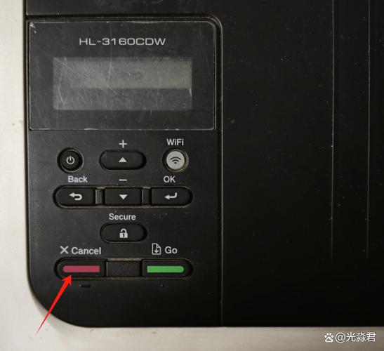 禁缓冲的printf，打印延迟，为何不即时显示？