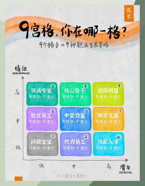 揭秘网站建设专业，职业定位与解析，这究竟是怎样的真实身份？
