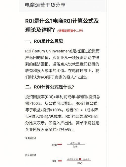 电商ROI具体指的是什么含义？