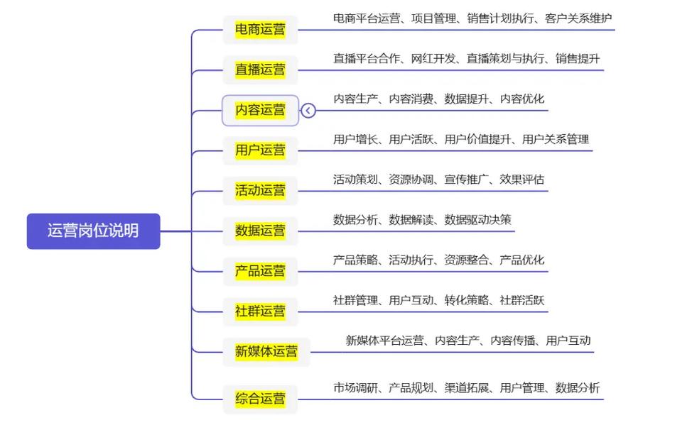 独立站运营岗位，未来是风口还是长坡厚雪？