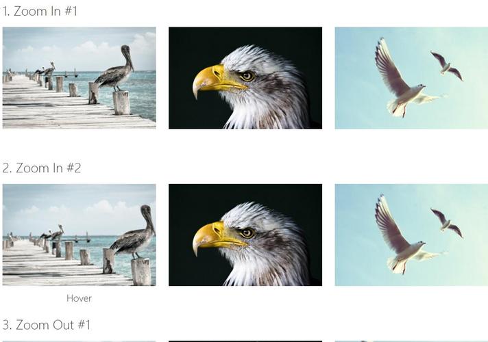 Vue鼠标悬停动画，如何制作长尾词特效？