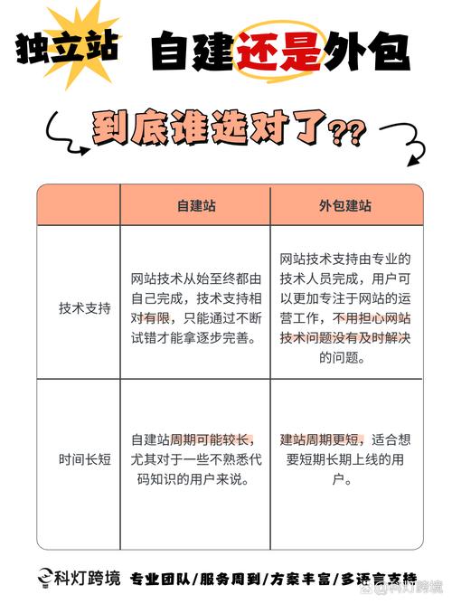 如何准确界定自建项目与外包项目的本质区别？