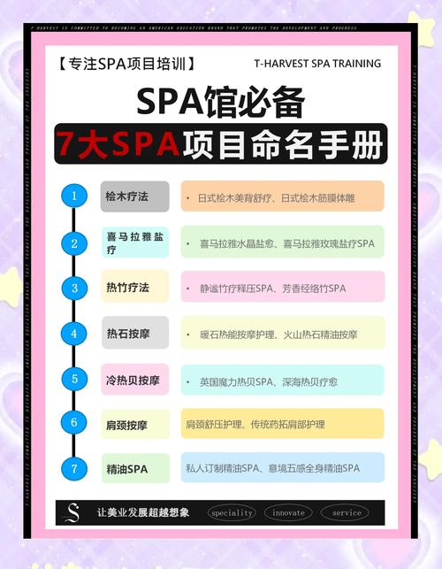 前端开发SPA项目涉及哪些独特的技术或框架？