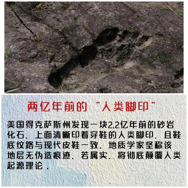 Contellation：首个神秘的Kubernetes发行版，究竟藏有哪些秘密？