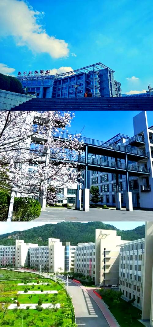 辽宁有哪些学校在探索与实践网站建设专业，以及网络教育平台的崛起与发展现状？