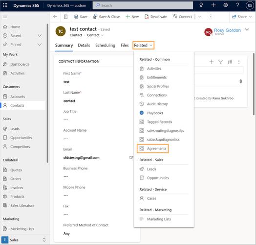 这个针对Dynamics CRM 365 9.1的Google插件，能查看哪些字段名称？
