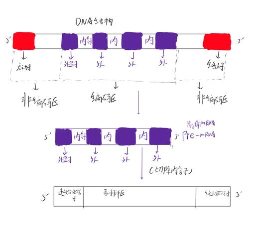 PHP的serialize()与unserialize()不完全研究，有哪些细节需要注意？