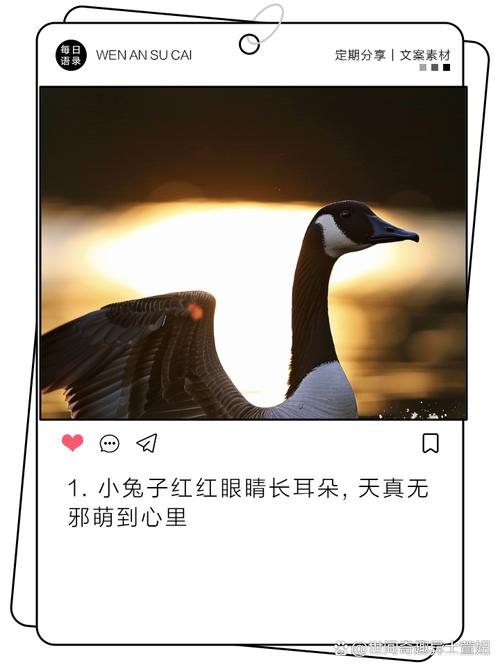 PHP如何用递归算法改写兔子生兔子问题成长尾？