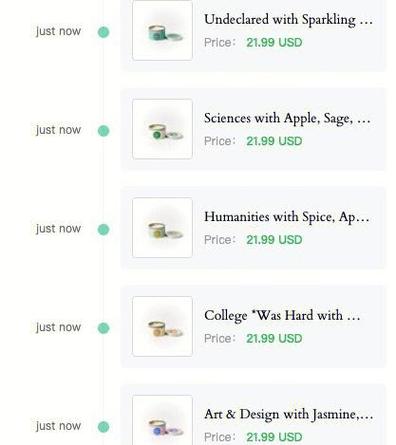 香薰独立站销售真的能实现盈利吗？