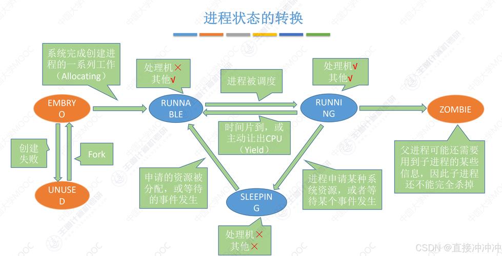 你对Swoole进程和线程的掌握程度如何？
