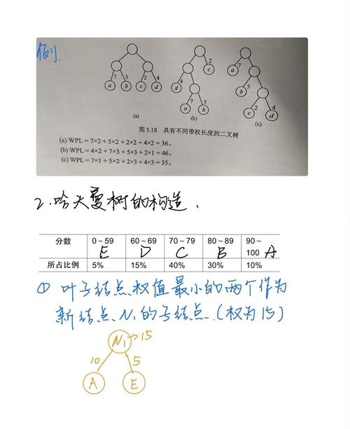 如何通过哈夫曼树实现高效编码与解码？