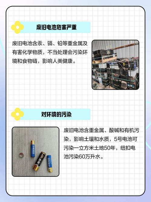 干电池的原理是什么？废旧干电池对环境有哪些潜在危害？