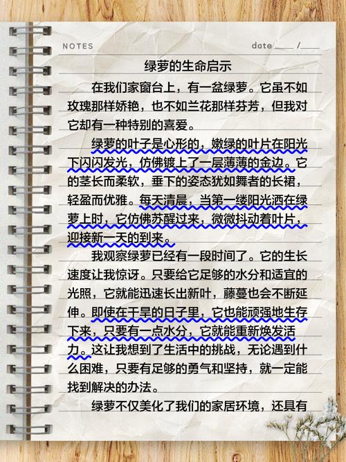 绿萝算法20：内链优化新挑战，如何应对的优化难题？