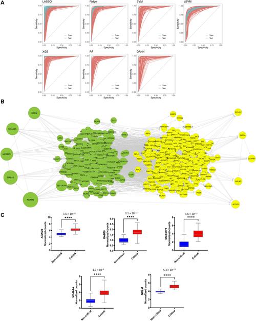 COVID-19-20改进VNet3D分割网络，混合损失如何改写为长尾？