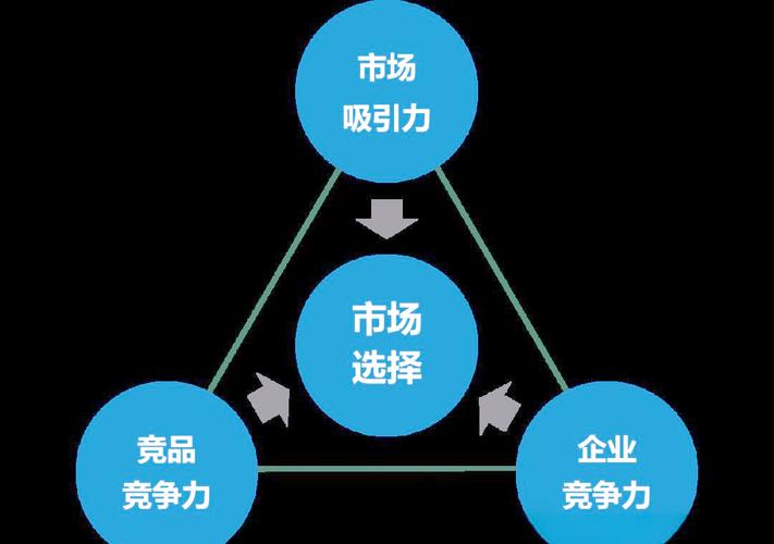 如何构建企业互联网竞争力核心策略以应对长尾市场挑战？