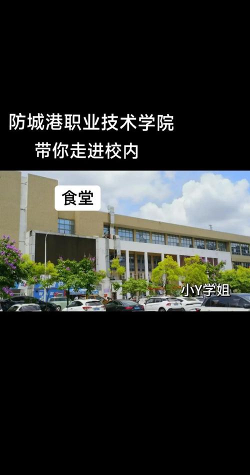 防城港网站建设专家如何解析3ao cc的独特优势及实践成果，使其成为城市职业学院专业选择的不二之选？