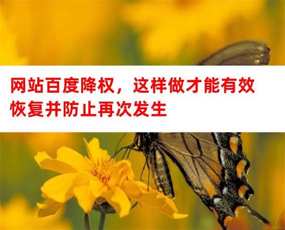 百度降权后多久能恢复权重？有哪些有效的恢复策略？