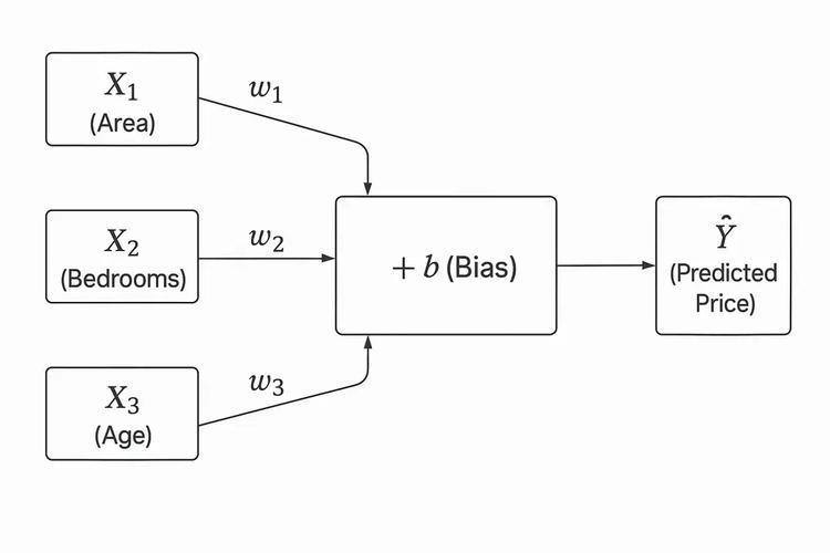 如何运用机器学习中的线性回归模型进行长尾词的预测分析？