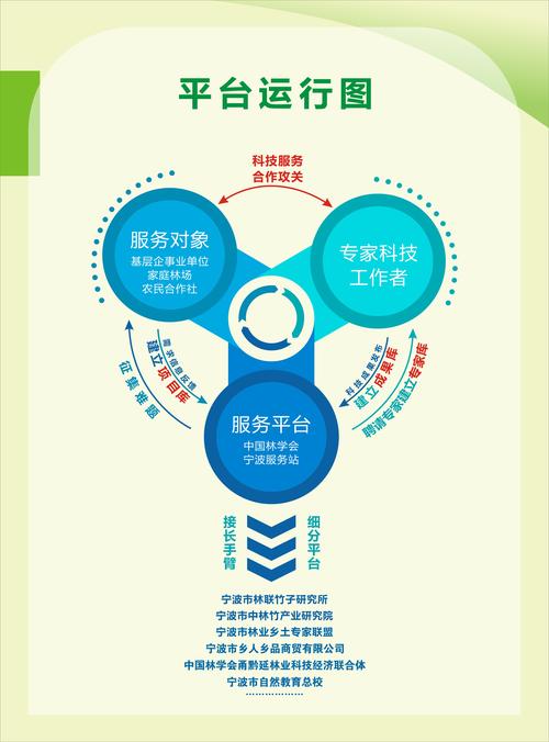 江苏SEO优化，优质站外服务套餐有哪些推荐？