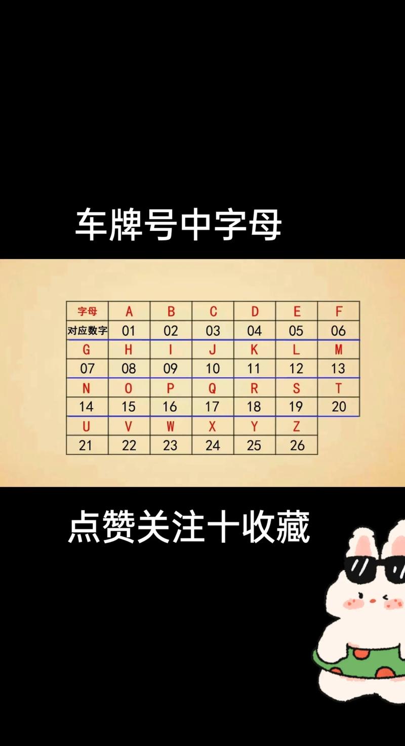 请问这些字母数字和中文分别是什么意思？