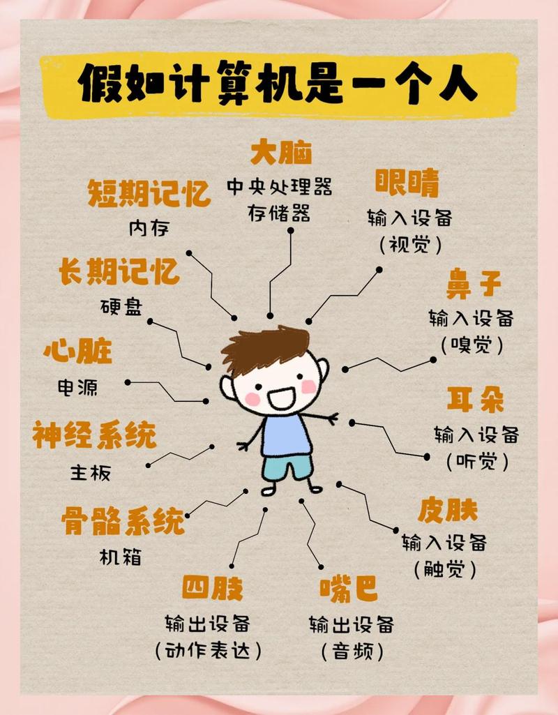 聪明人、傻子和程序员，谁在编程领域更具优势？