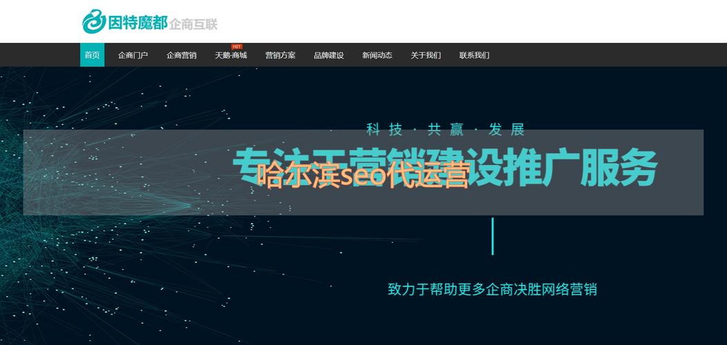 哈尔滨SEO优化，哪家技术领先且效果显著呢？