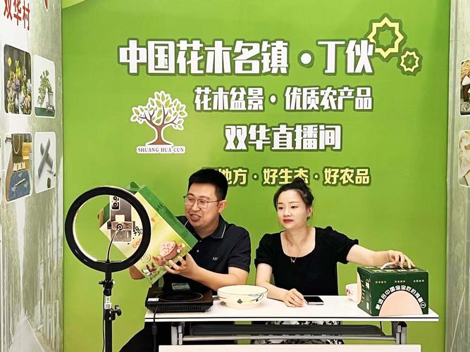京东非遗频道如何成为电商扶贫的新通道？