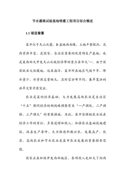 这个项目具体是做什么的，有什么独特之处，能详细介绍一下吗？